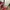Nike Skater Casual Sweatshirt Pria red photo 8