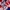 Lotto Sport Italia Vintage Sportswear Jersey Pria red blue photo 5