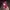 Coquette Casual Wanita multicolor photo 5