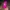 Coquette Casual Wanita multicolor photo 7