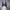 Streetwear Minimalist Cardigan Wanita navy blue photo 1