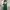 Minimalist Casual Casual dress Wanita green black photo 2