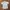 Minimalist Casual Bodysuit Wanita multicolor photo 3