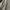 Polham Casual Sweater Pria white photo 4