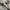 Polham Casual Sweater Pria white photo 3