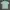 Montbell Vintage Sportswear T-shirt Pria green blue photo 2