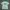 Montbell Vintage Sportswear T-shirt Pria green blue photo 1