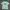 Montbell Vintage Sportswear T-shirt Pria Green Blue