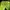 Casual Wanita green photo 3