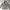 GAP Streetwear Casual Hoody Pria gray photo 1