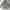 GAP Streetwear Casual Hoody Pria Gray