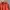 Polo Ralph Lauren Casual Sweatshirt Pria Orange