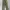 Dickies Casual Casual pants Pria khaki photo 4