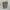 Dickies Casual Casual pants Pria khaki photo 1