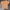 Vintage Streetwear T-shirt Pria brown photo 4