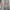 Adidas Lolita Casual Sweatshirt Pria multicolor photo 5