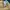 Adidas Streetwear Skater Sweatshirt Pria multicolor photo 3