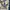Adidas Streetwear Skater Sweatshirt Pria multicolor photo 2