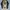 Adidas Streetwear Skater Sweatshirt Pria multicolor photo 1