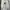 Nike Casual Jumper Pria multicolor photo 4