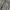 Vintage Y2K Jeans Pria white gray photo 4