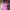 NEPA Sportswear Hat Wanita Pink