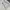 The North Face Streetwear Sportswear Sweatshirt Pria white photo 2