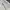 The North Face Streetwear Sportswear Sweatshirt Pria White