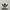 Adidas Streetwear Sportswear Sweatshirt Pria white photo 2