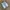 Y2K Sportswear Short Pria gray blue photo 2