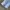 Y2K Sportswear Short Pria gray blue photo 4
