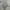 BOY London Casual Jumper Pria white photo 6
