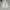 BOY London Casual Jumper Pria White