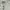 BOY London Casual Jumper Pria white photo 2