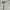 BOY London Casual Jumper Pria White