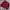 Converse Streetwear Casual Sweater Pria burgundy photo 3