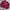 Converse Streetwear Casual Sweater Pria burgundy photo 1