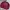 Converse Streetwear Casual Sweater Pria Burgundy