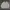 Polo Ralph Lauren Vintage Luxury Harrington Jacket Pria Cream