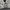 Polo Ralph Lauren Vintage Luxury Harrington jacket Pria cream photo 6