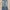 EDWIN Vintage Jeans Pria blue photo 4