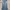 EDWIN Vintage Jeans Pria blue photo 1