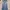EDWIN Vintage Jeans Pria Blue