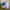 Indie Reworked Pria pink blue photo 1