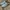 Pedro Streetwear Dress shoe Pria blue photo 2