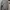 Reebok Streetwear Hoody Pria gray photo 1