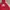Nike Vintage Streetwear Sweatshirt Pria red photo 2