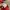 Nike Vintage Streetwear Sweatshirt Pria red photo 4