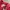 Nike Vintage Streetwear Sweatshirt Pria red photo 3