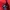 Nike Vintage Streetwear Sweatshirt Pria red photo 5